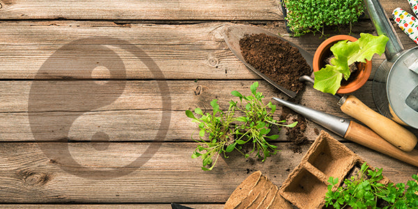 Do You Practice Gardening in Your Clinic?