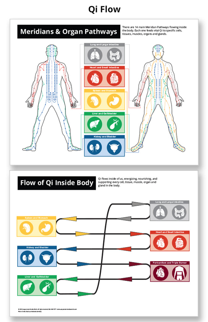 Qi Flow and Meridian Chart - Acupuncture Laminated Chart