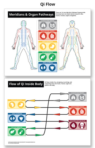 Qi Flow and Meridian Chart - Acupuncture Laminated Chart