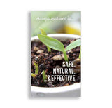 Call-to-Action Cards - Sprout