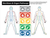 Questions & Answers - Acupuncture Brochure (Pre-order - 200 + 150 Free Brochures + Laminated Charts)
