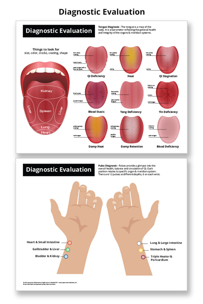 Diagnostic Evaluation - Acupuncture Laminated Chart